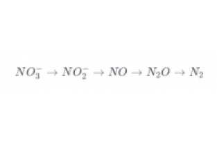 總氮激活菌應用及反硝化原理